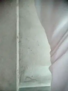 aga-wa webcam