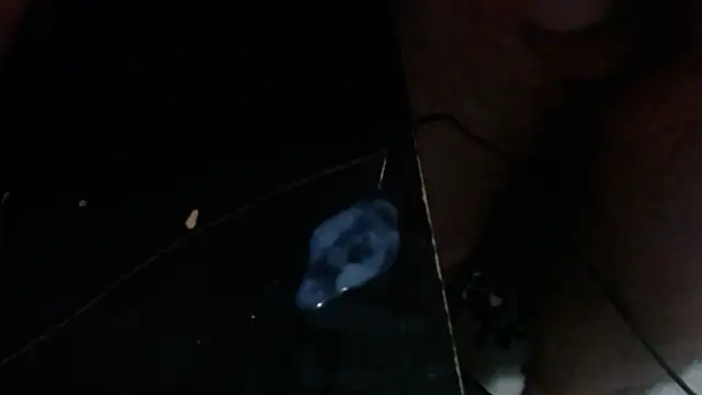 elprivado98 webcam