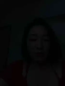 Ruyier webcam