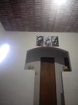 catdool webcam