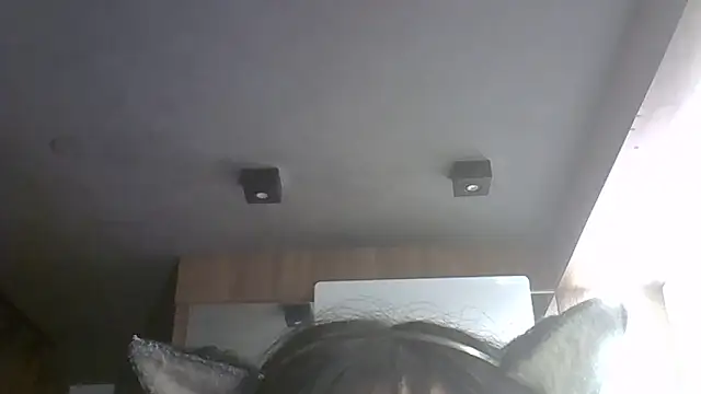 SkinnyKitten webcam