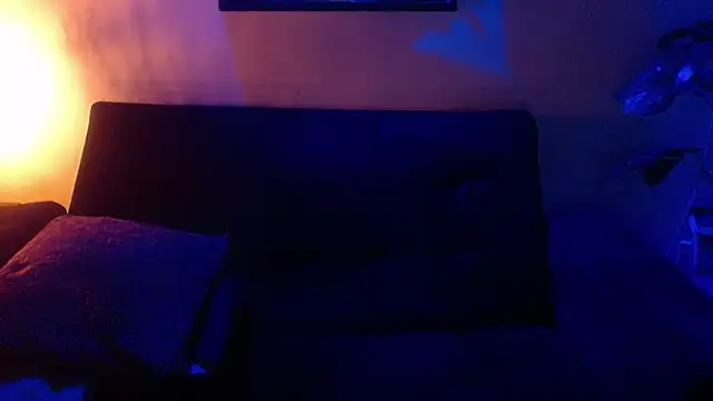 Jesve webcam