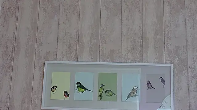 KimoraJoy webcam