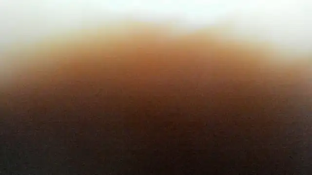 BrendaWildd webcam