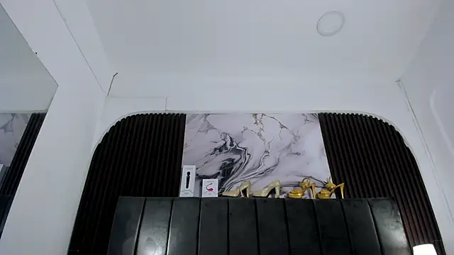 VanessaHard_as webcam