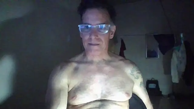 CaptainFox webcam