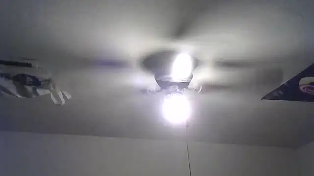 Johnny1991Blunt webcam
