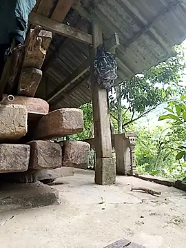 nakxa6969 webcam