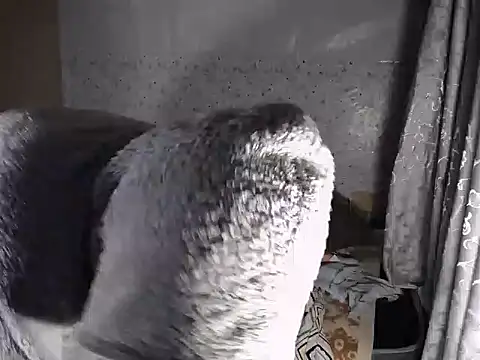 BendMeOverXX webcam