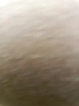 Lily_Henry webcam