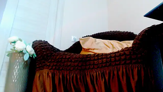 Live_View live cam