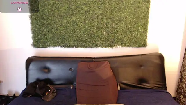 sam_ford_2 webcam