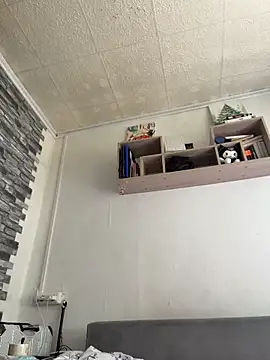 VendiMur webcam