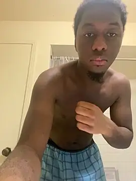 ThickDic28 webcam