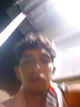 Noscay webcam