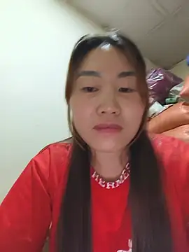 he-se-kin webcam