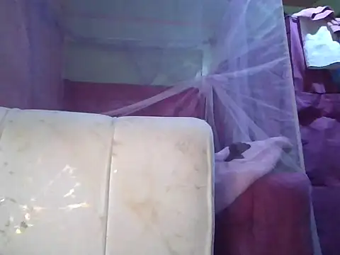 Pri-debie98 webcam