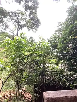 linda-babyy - Linda-babyy's free webcam