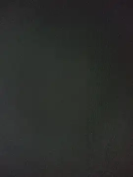 Alcon347 webcam