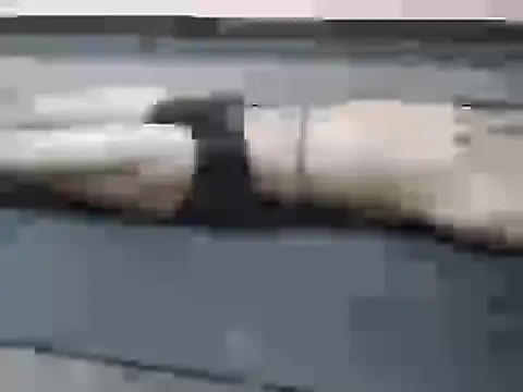itsmemadhu2019 webcam