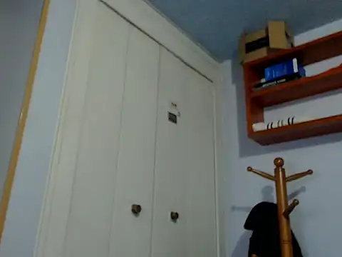 Dan_harmor webcam