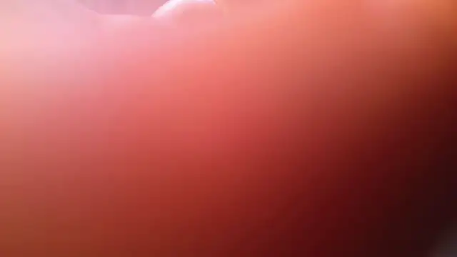 Mrkarizma webcam