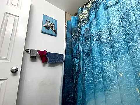 Tattedupdek webcam