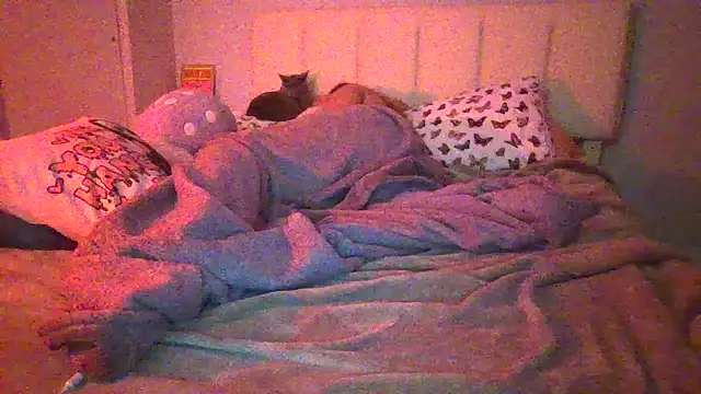 madzbailey webcam
