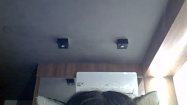 SkinnyKitten webcam