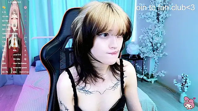 Setsunai_ webcam