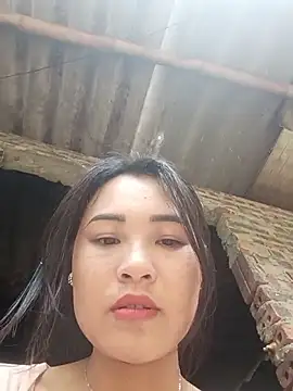 Pivi12 webcam