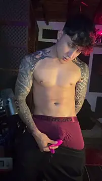 dylan_wels webcam