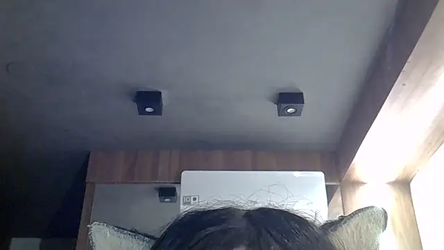 SkinnyKitten webcam