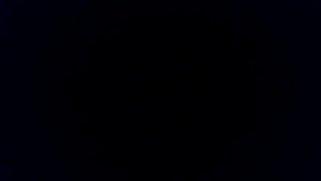 STIFFY-WOOD live cam