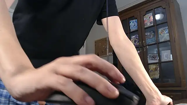 CasuallyCorrupt webcam