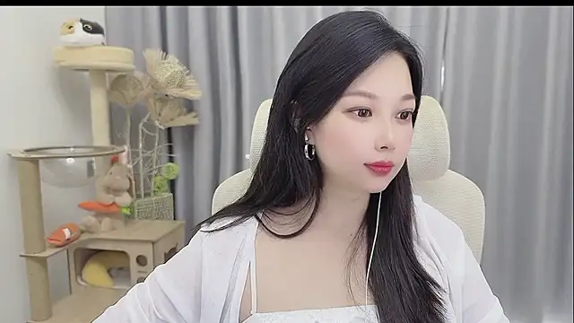 facai-feifei webcam
