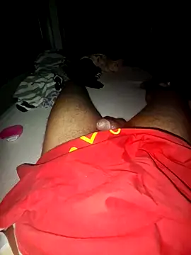 wolf297 webcam