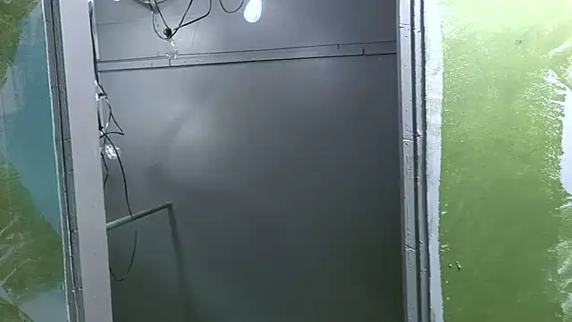 meateater74553 webcam