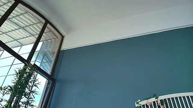 AlicePirs webcam