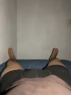 HamsD3 webcam