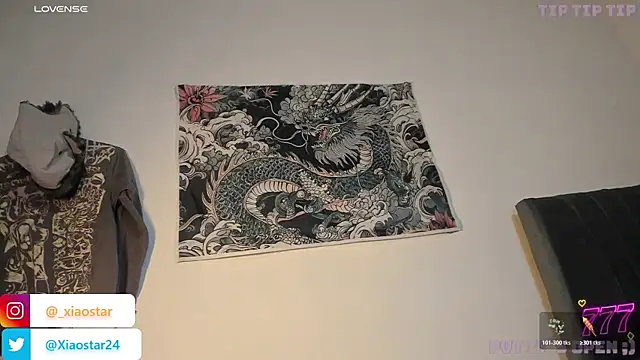 XiaoStar webcam