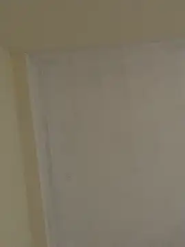 Summ_vn webcam