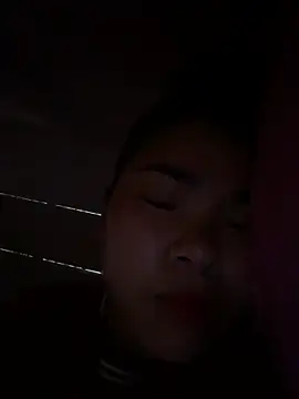 Nul_chal webcam