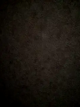 sex2 webcam