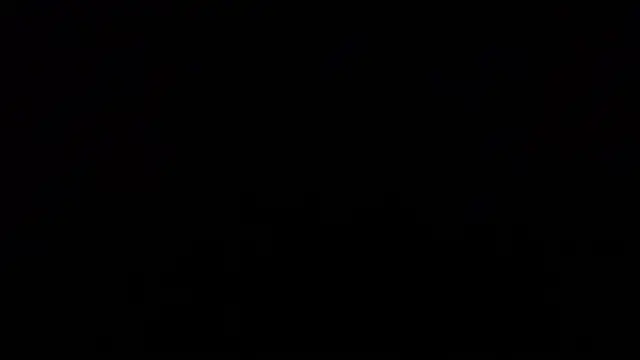 alexmannd webcam