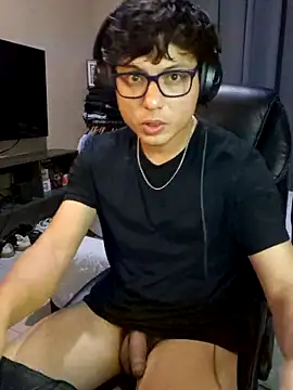 Ais_B10 webcam