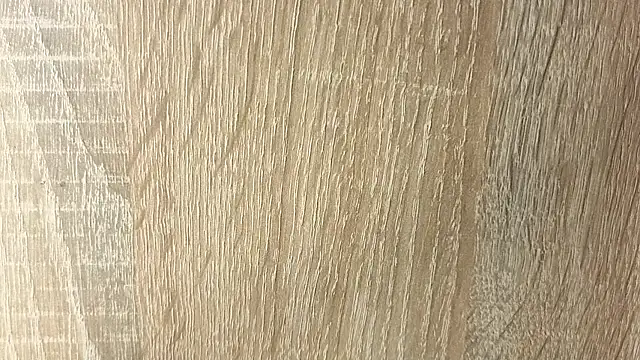 NoFace_Model webcam