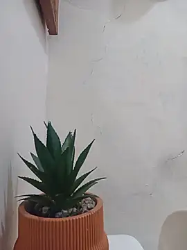 BigRastaFire webcam