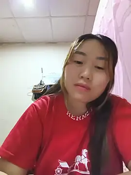he-se-kin webcam