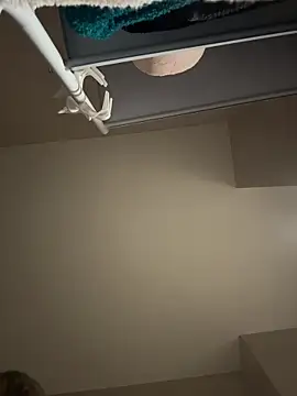 LittleFox___ webcam
